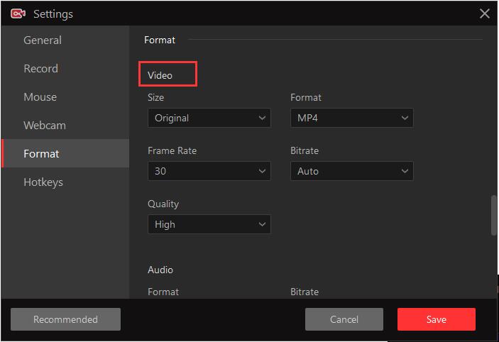 formatvideo